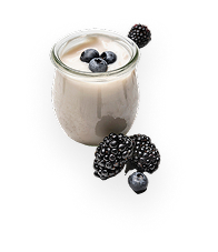 high-angle-yogurt-with-blueberries-blackberries.png
