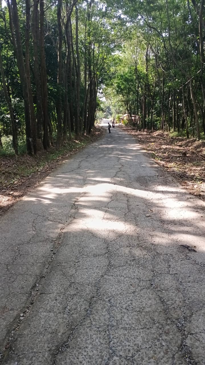 KEGIATAN PERBAIKAN JALAN KABUPATEN DI DESA SALAMMULYA, KECAMATAN PONDOKSALAM, KABUPATEN PURWAKARTA MELALUI PROGRAM CSR BANK BJB