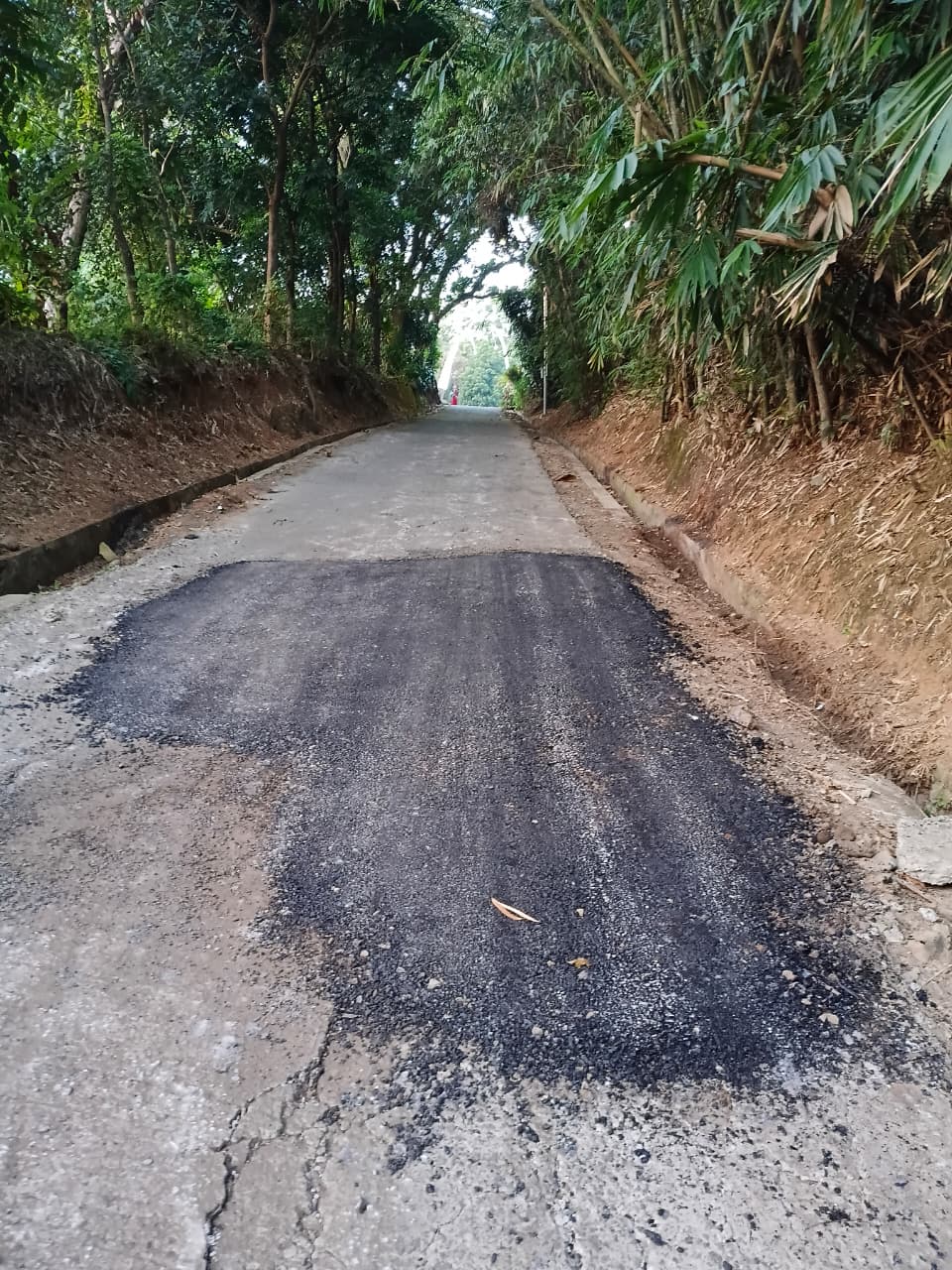 KEGIATAN PERBAIKAN JALAN KABUPATEN DI DESA SALAMMULYA, KECAMATAN PONDOKSALAM, KABUPATEN PURWAKARTA MELALUI PROGRAM CSR BANK BJB