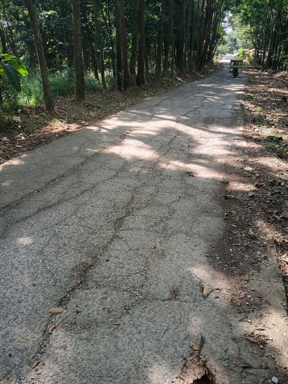 KEGIATAN PERBAIKAN JALAN KABUPATEN DI DESA SALAMMULYA, KECAMATAN PONDOKSALAM, KABUPATEN PURWAKARTA MELALUI PROGRAM CSR BANK BJB
